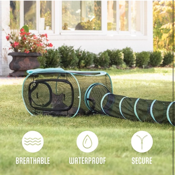 Outdoor Cat Play Combo - Picture 3 of 12